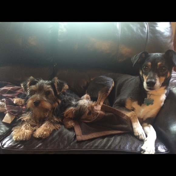 🌿MEET YOUR POSHER🌿 - Picture 7 of 8